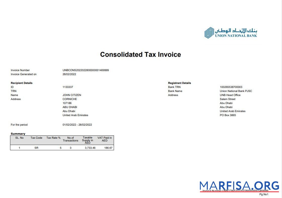 Printable UAE Abu Dhabi Union National bank statement 2 pages example